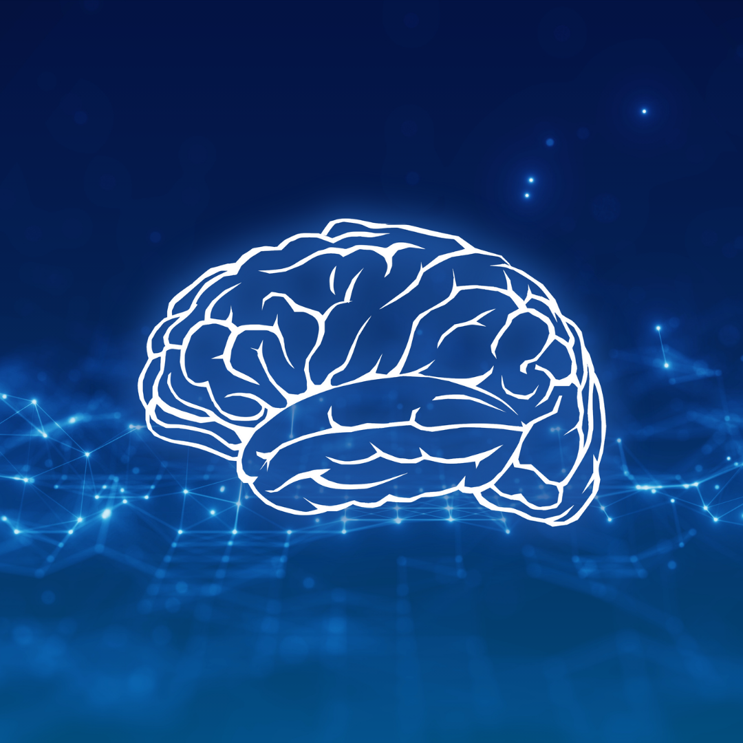 Alzheimer's MRI Classifier