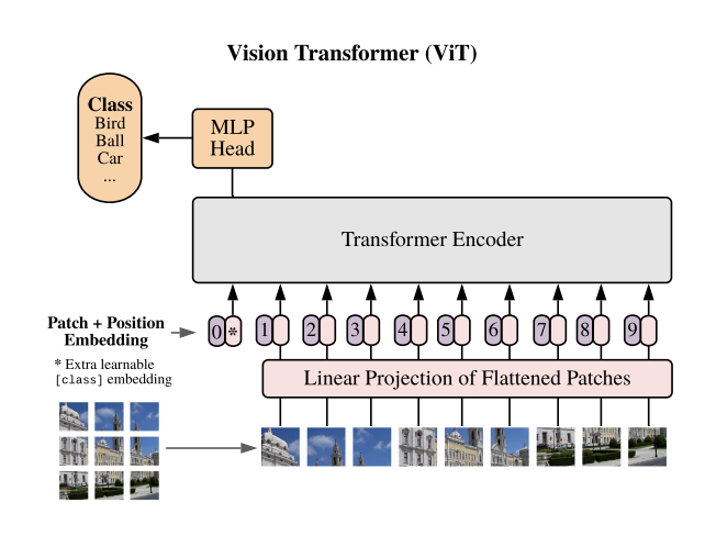 ViT From Scratch